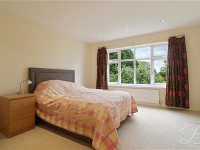 Picture 14